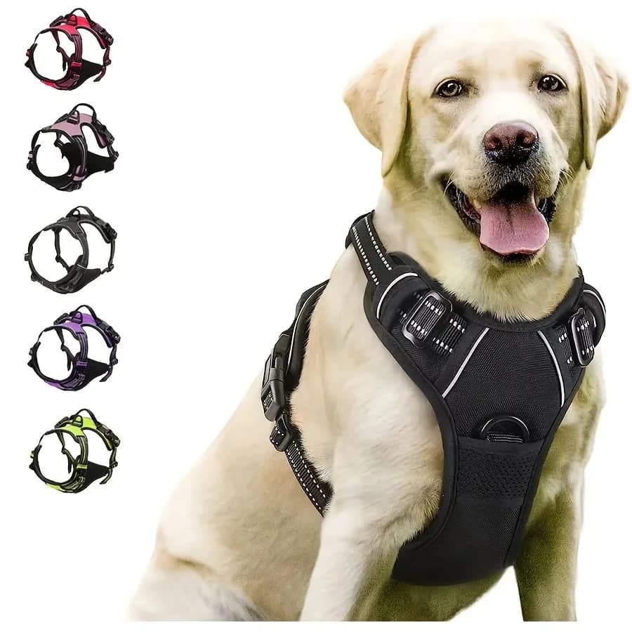 Colliers pour chiens, harnais, grands gilets, laisse, boutique d’animaux, tout pour chiens, accessoires en cuir pour chiots, ensemble moyen et petit