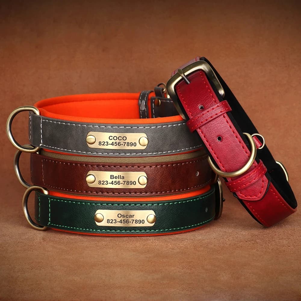 Collier pour chien personnalisé en cuir avec plaque d’identification, rembourré et doux, gravure gratuite du nom pour chiens de petite, moyenne et grande taille