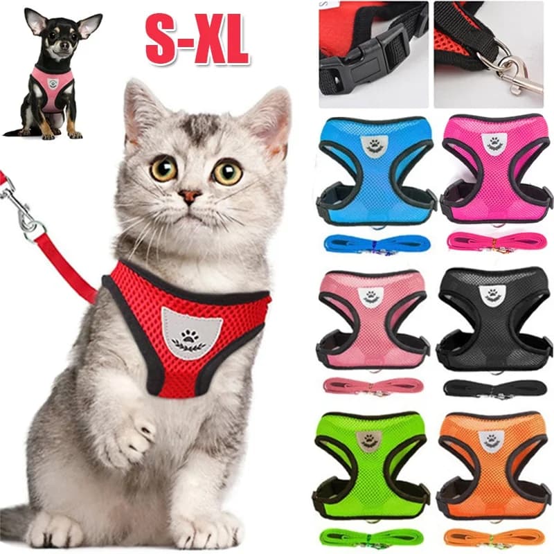 Harnais pour chat et chien avec laisse, gilet réglable en maille polyester respirante, harnais réfléchissant pour petits chiens et chats, accessoires