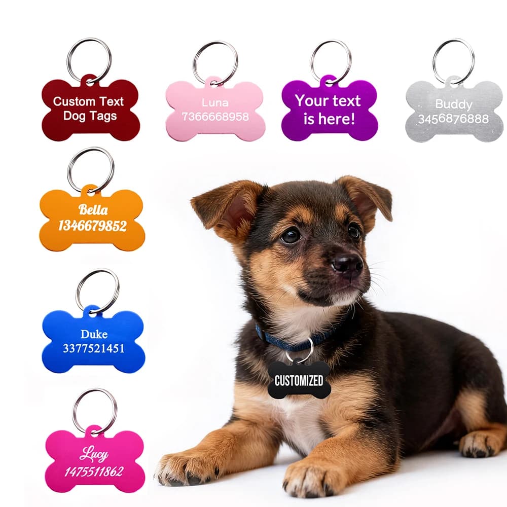 Plaque d’identification personnalisée pour chien en forme d’os, gravure laser, numéro, pendentif anti-perte, texte personnalisé, médailles pour animaux de compagnie